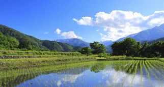 國家發(fā)展改革委等部門印發(fā) 《環(huán)境基礎(chǔ)設(shè)施建設(shè)水平提升行動（2023—2025年）》